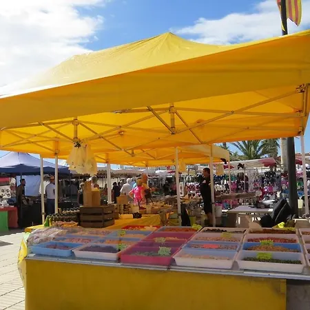 Acces Direct - Parking - Vue 2ppech31 *